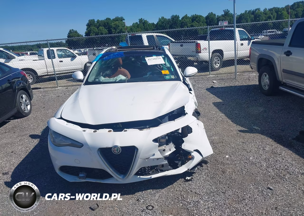 2017 Alfa Romeo Giulia Awd VIN:ZARFAEDN3H7551784 - 13