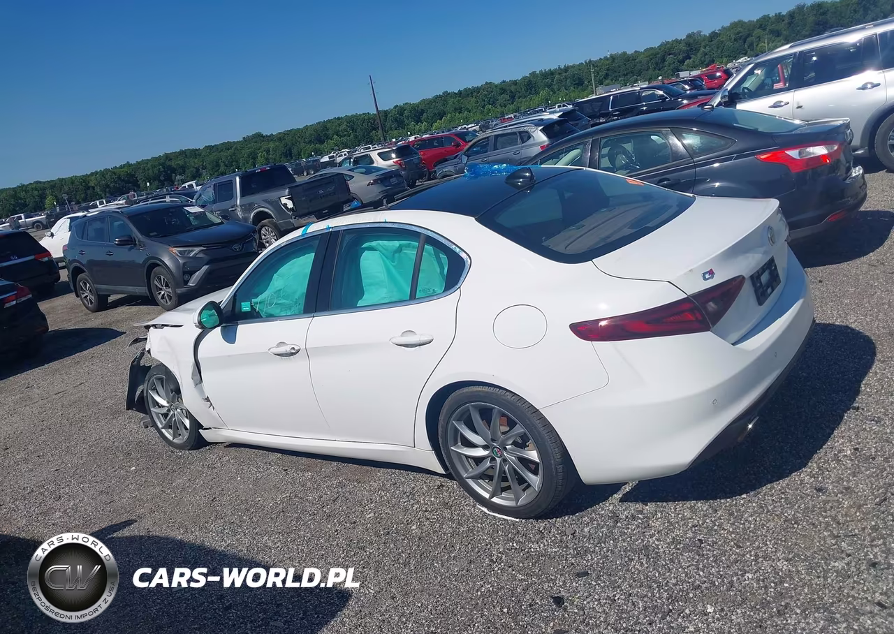 2017 Alfa Romeo Giulia Awd VIN:ZARFAEDN3H7551784 - 15
