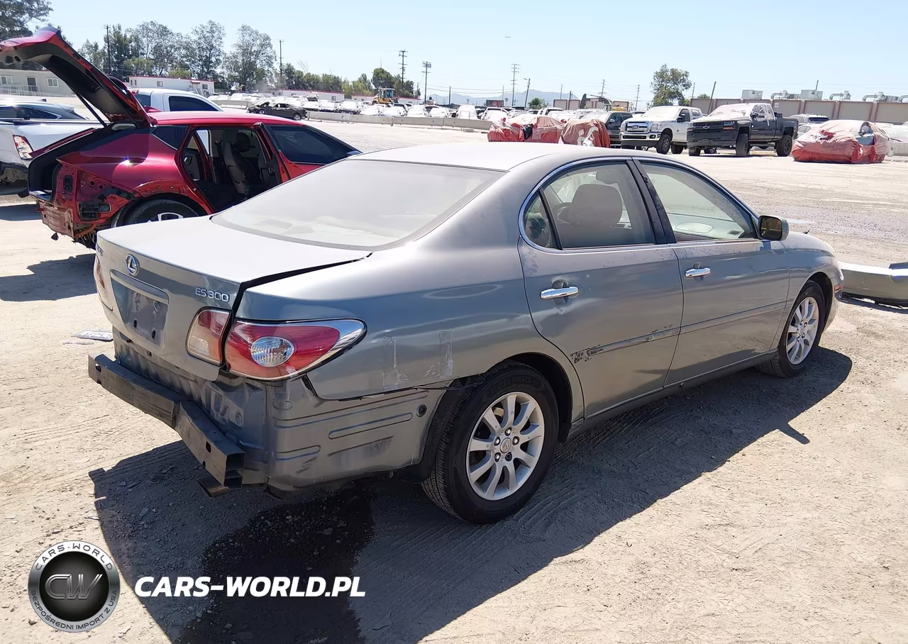 2002 Lexus Es 300 VIN:JTHBF30G020057256 - 4