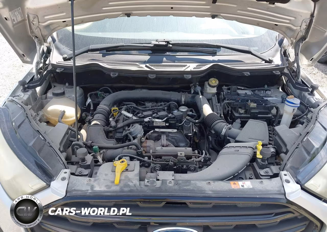 2018 Ford Ecosport S VIN:MAJ3P1RE2JC242601 - 10