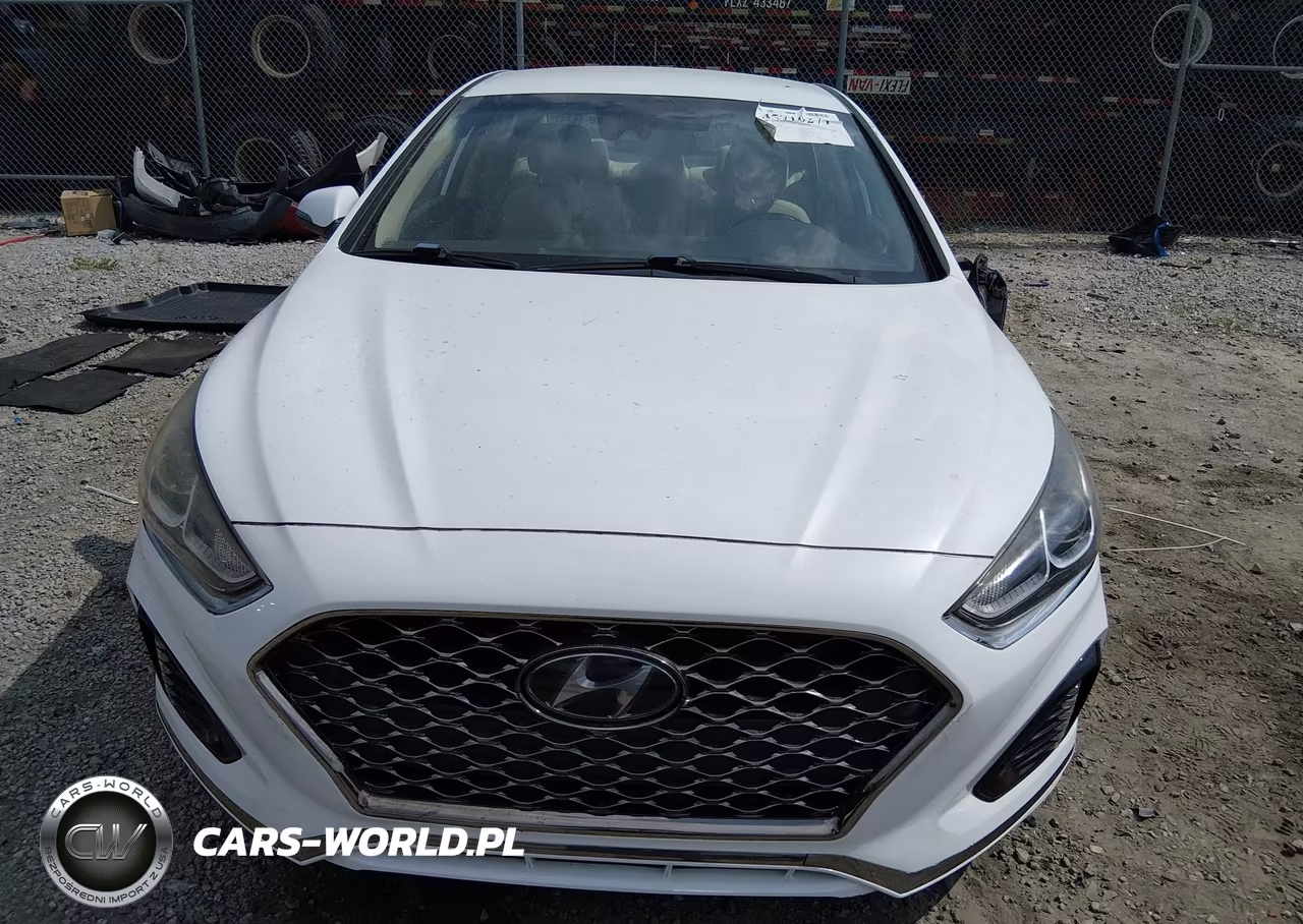 2019 Hyundai Sonata Sel VIN:5NPE34AF9KH788421 - 13