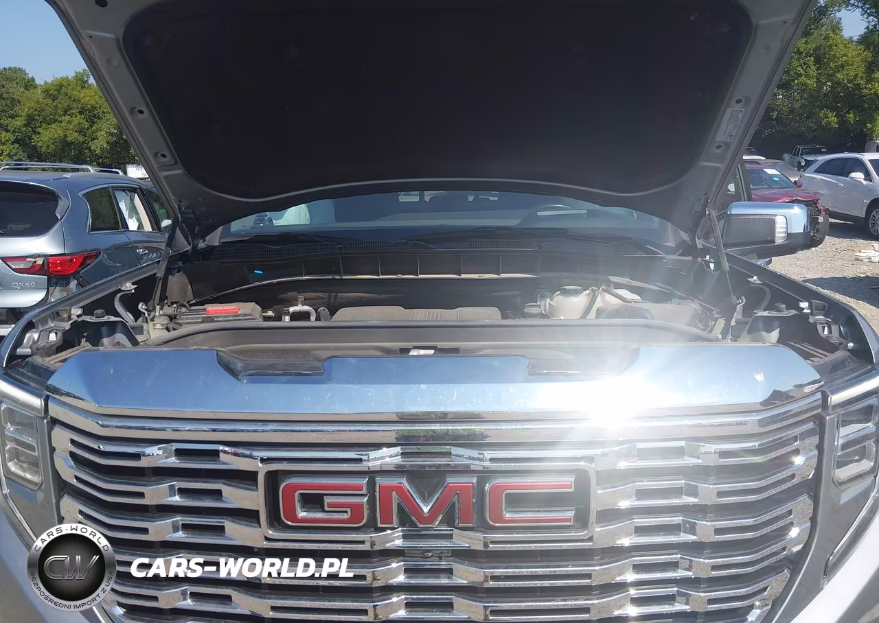 2025 GMC Sierra 1500 4Wd Short Box Denali VIN:3GTUUGEL2SG142494 - 10
