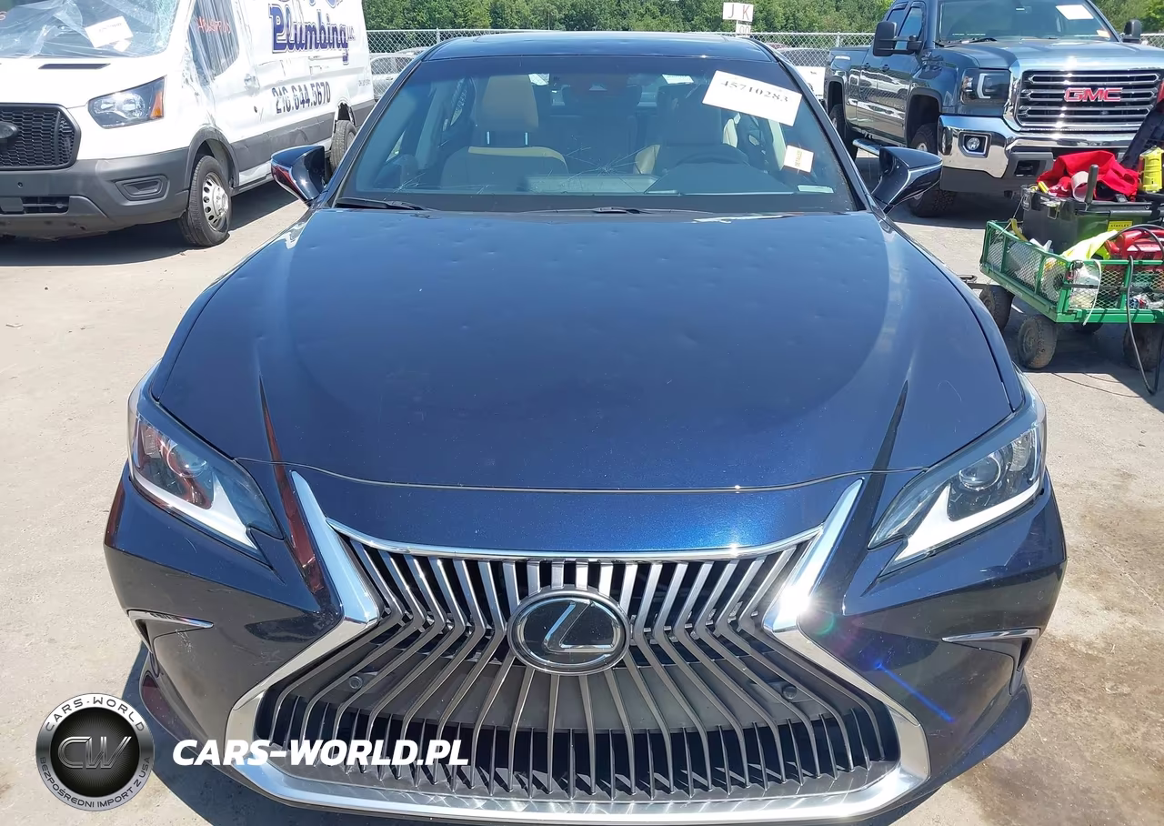 2019 Lexus Es 350 VIN:58ABZ1B11KU005511 - 12