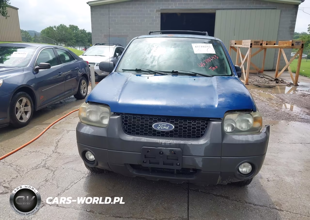 2007 Ford Escape Xlt-Xlt Sport VIN:1FMYU93187KB80581 - 6