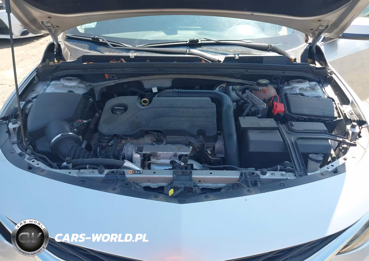 2019 Chevrolet Malibu Lt VIN:1G1ZD5ST7KF181381 - 10