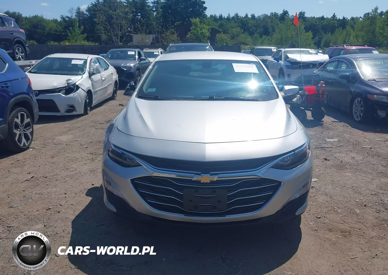 2019 Chevrolet Malibu Lt VIN:1G1ZD5ST7KF181381 - 12