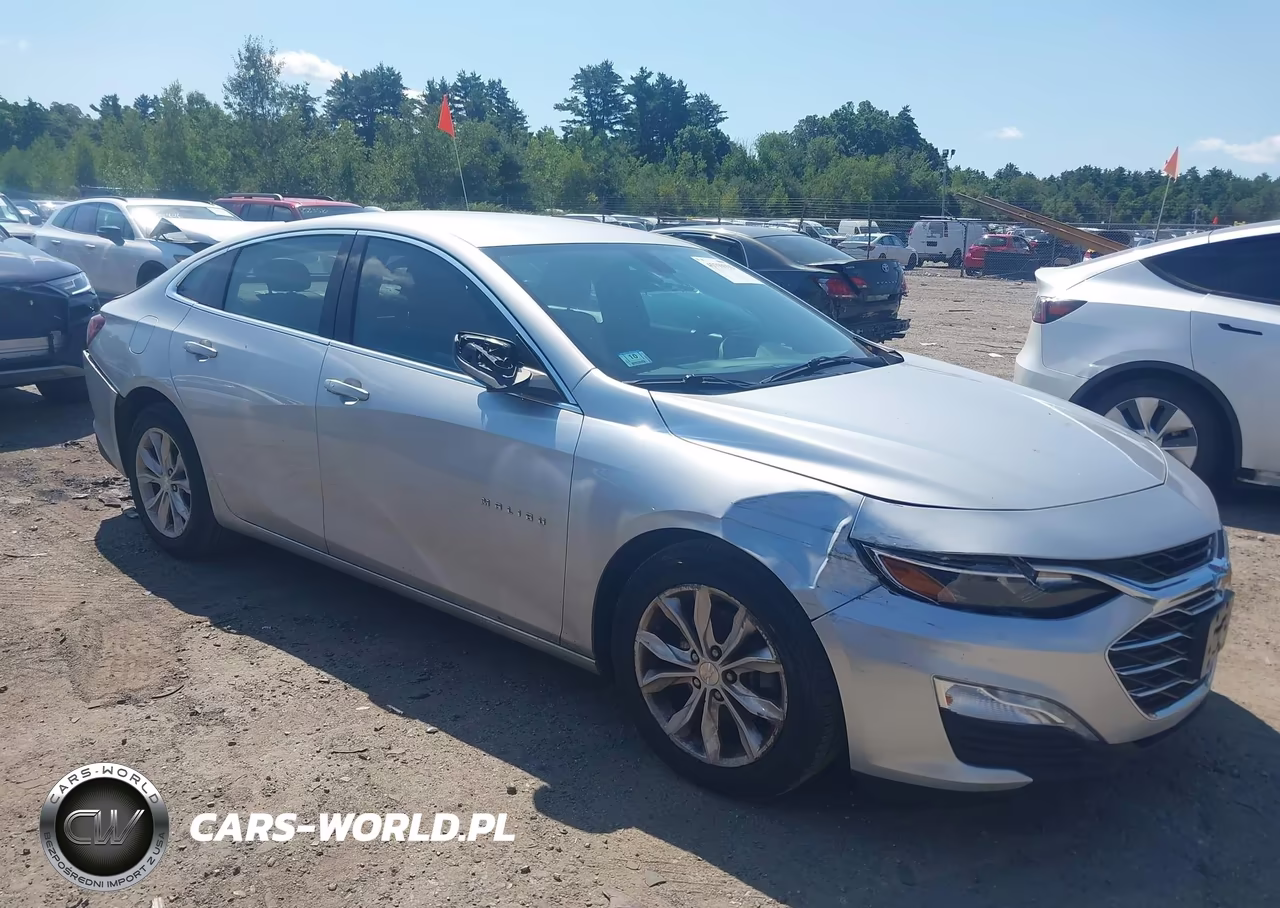 2019 Chevrolet Malibu Lt VIN:1G1ZD5ST7KF181381 - 13