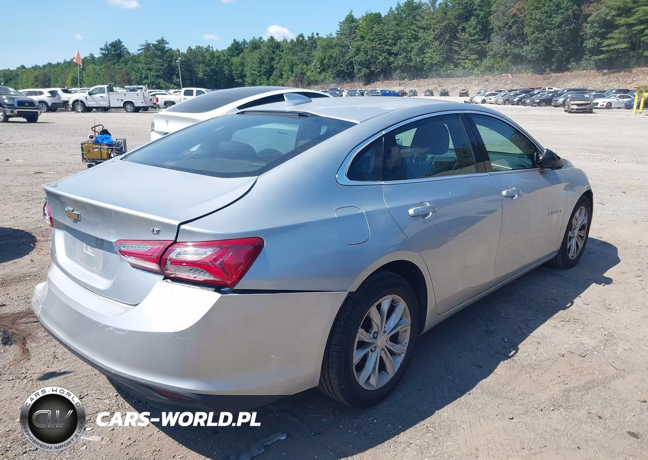 2019 Chevrolet Malibu Lt VIN:1G1ZD5ST7KF181381 - 18