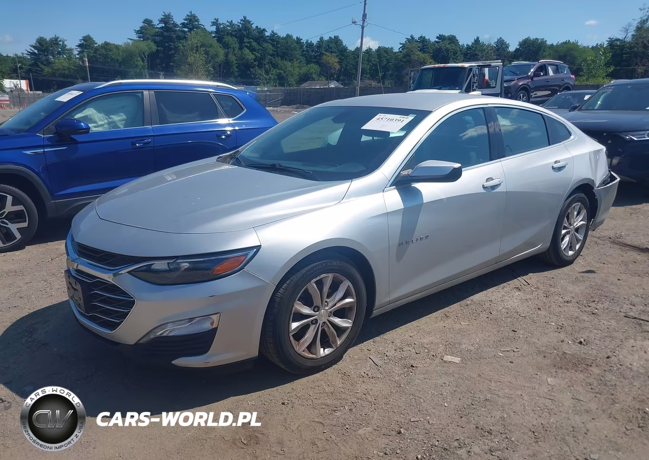 2019 Chevrolet Malibu Lt VIN:1G1ZD5ST7KF181381 - 2