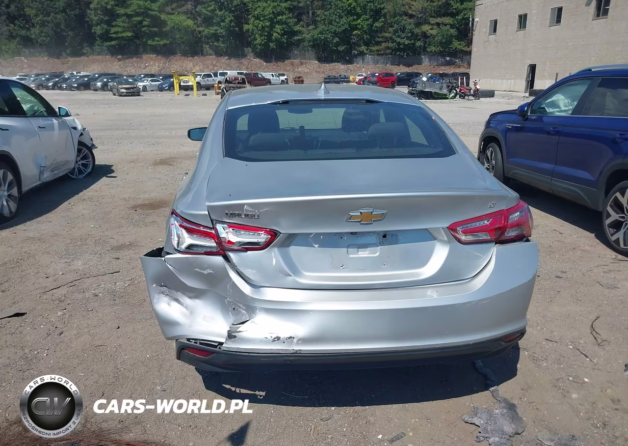 2019 Chevrolet Malibu Lt VIN:1G1ZD5ST7KF181381 - 6