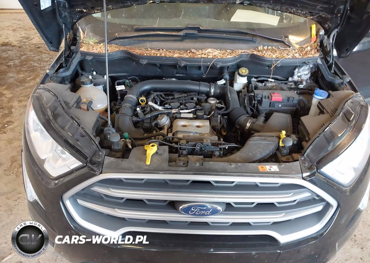 2019 Ford Ecosport Se VIN:MAJ3S2GE4KC253916 - 10