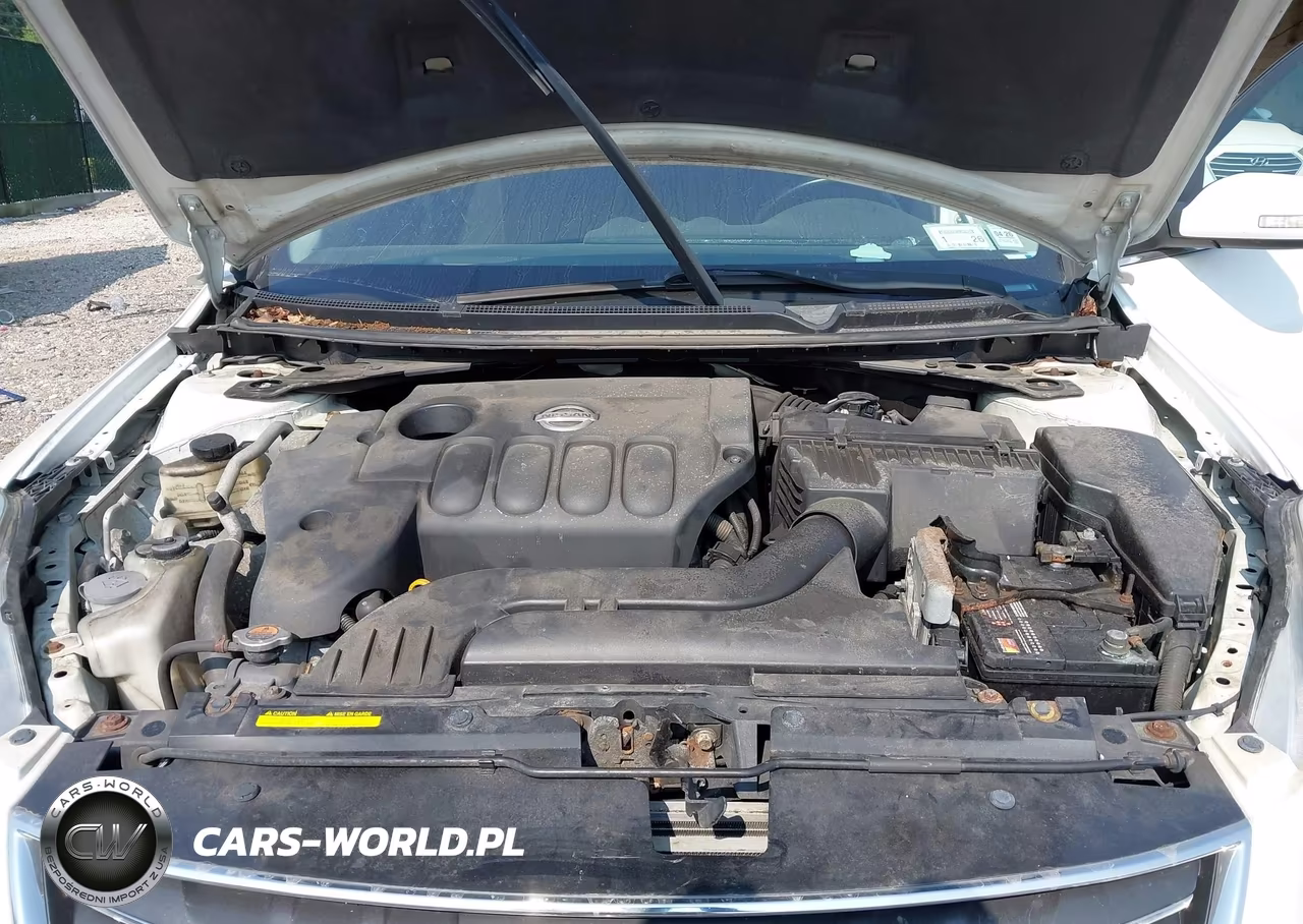 2010 Nissan Altima 2.5 S VIN:1N4AL2AP0AN494891 - 10
