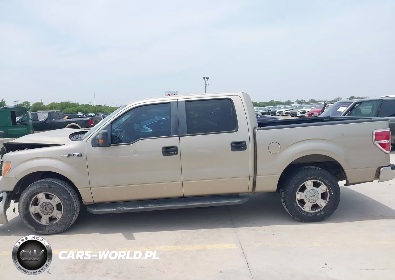 2010 Ford F-150 Fx2 Sport-Harley-Davidson-King Ranch-Lariat-Platinum-Xl-Xlt VIN:1FTFW1CVXAKA57527 - 13