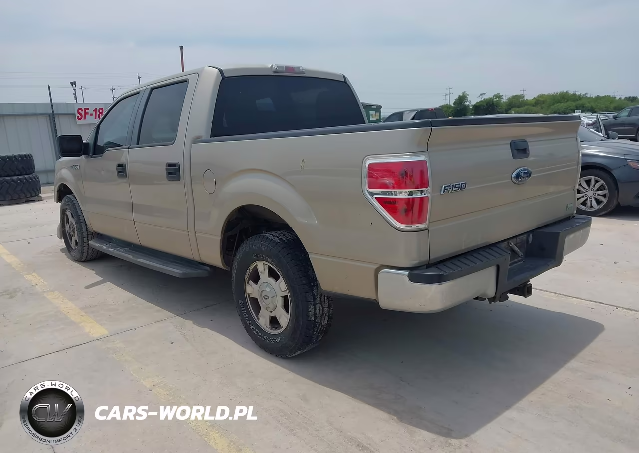 2010 Ford F-150 Fx2 Sport-Harley-Davidson-King Ranch-Lariat-Platinum-Xl-Xlt VIN:1FTFW1CVXAKA57527 - 3