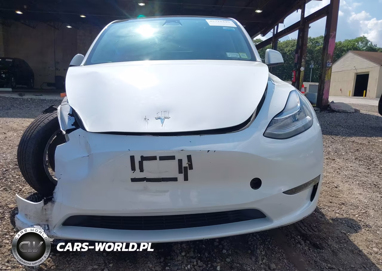 2023 Tesla Model Y Awd-Long Range Dual Motor All-Wheel Drive VIN:7SAYGAEE2PF591181 - 11