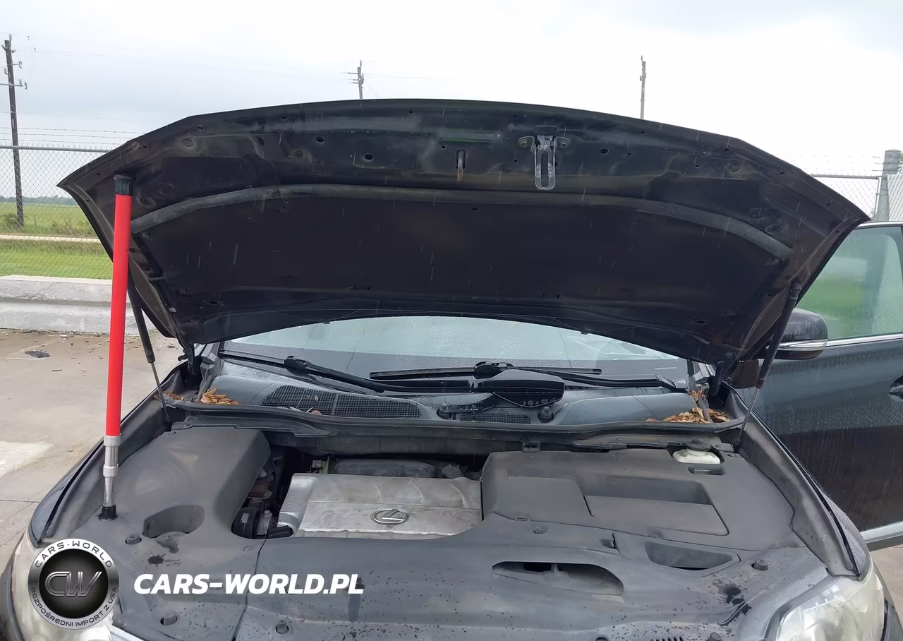 2010 Lexus Rx 350 VIN:2T2ZK1BA8AC037894 - 10