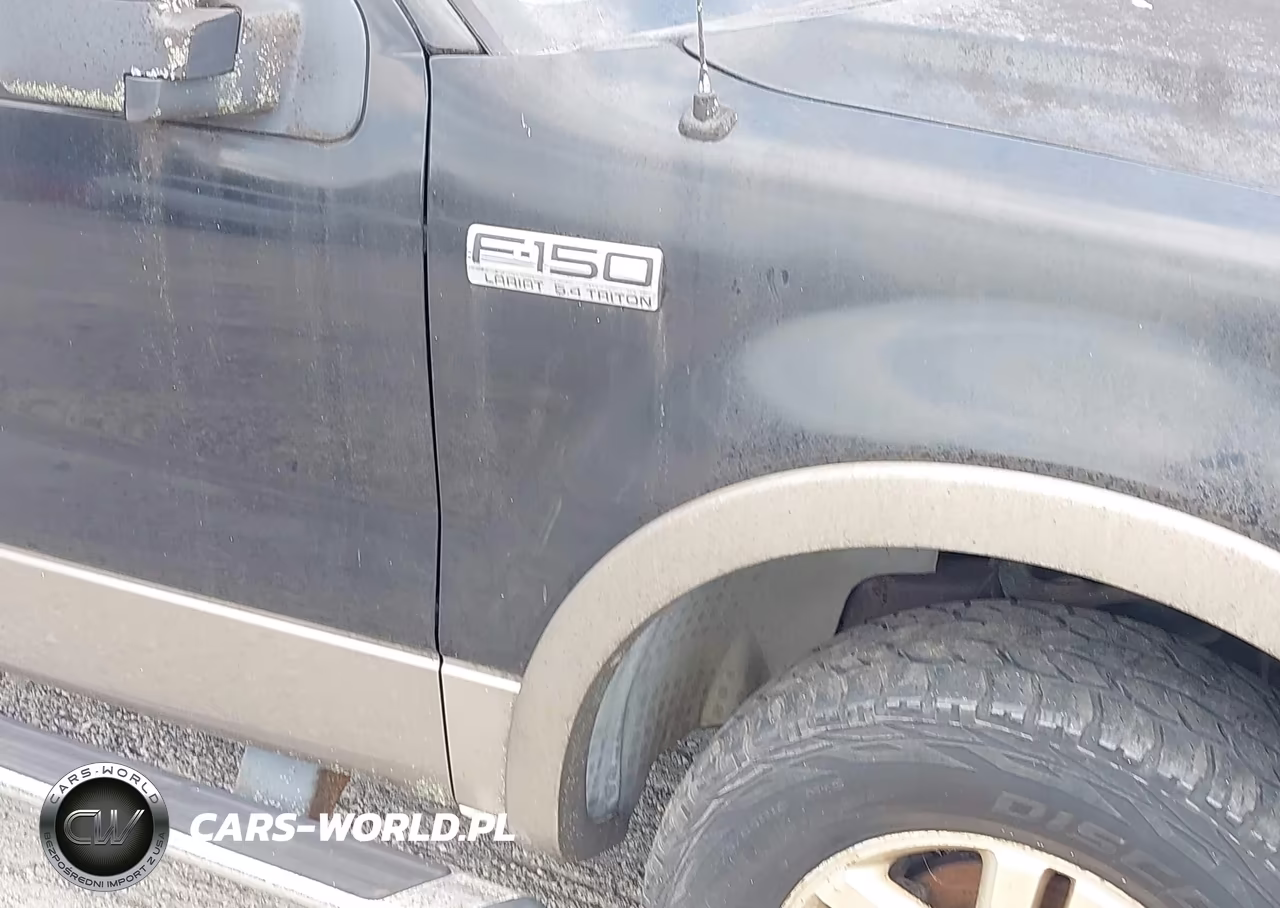 2004 Ford F-150 Fx4-Lariat-Xl-Xlt VIN:1FTPX14504NC30572 - 6