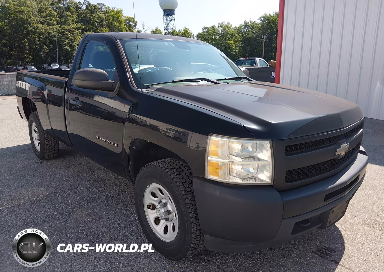 2009 Chevrolet Silverado 1500 Work Truck