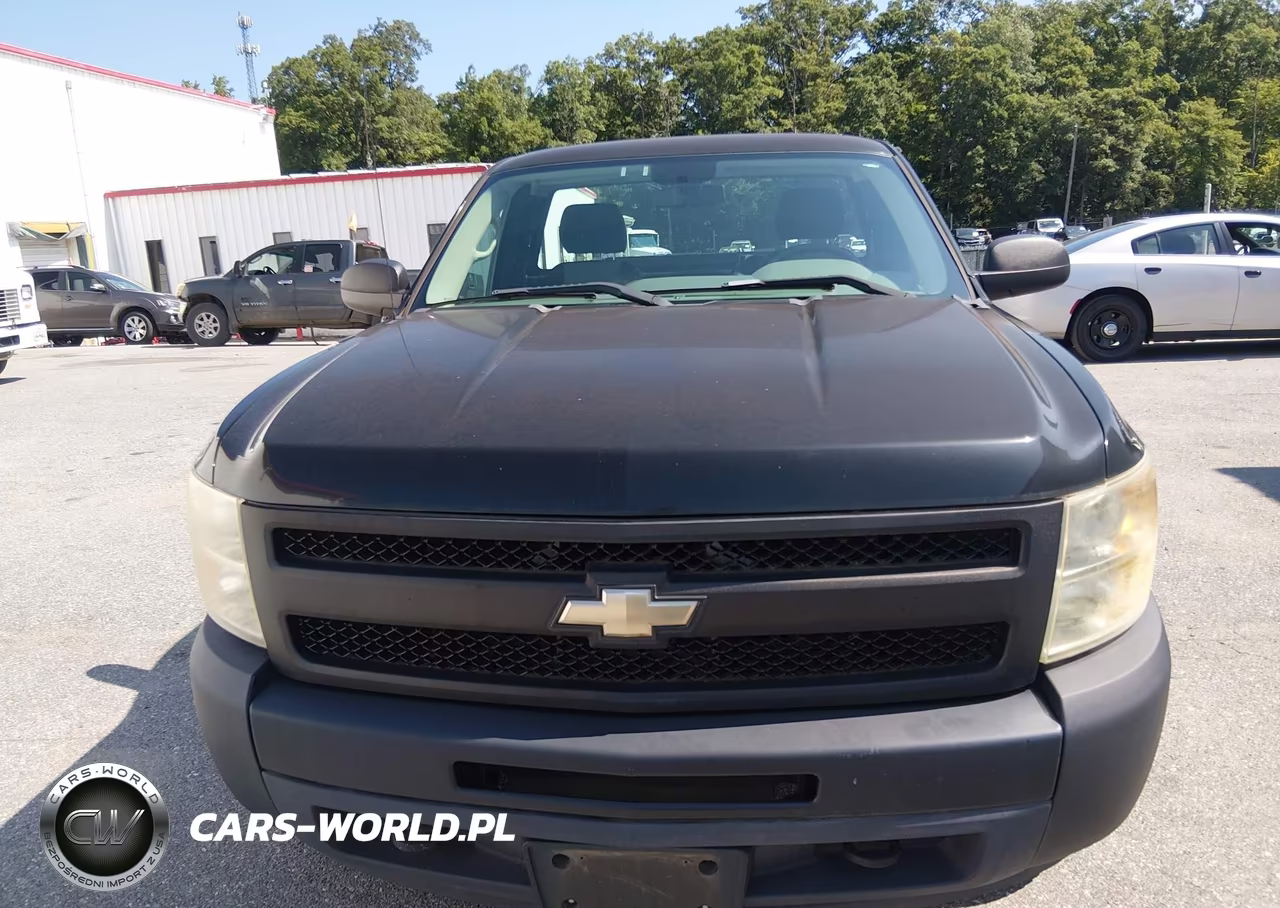 2009 Chevrolet Silverado 1500 Work Truck VIN:1GCEK14X29Z288528 - 12