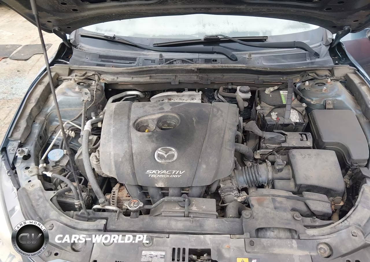 2016 Mazda Mazda3 I Sport VIN:JM1BM1U77G1331625 - 10