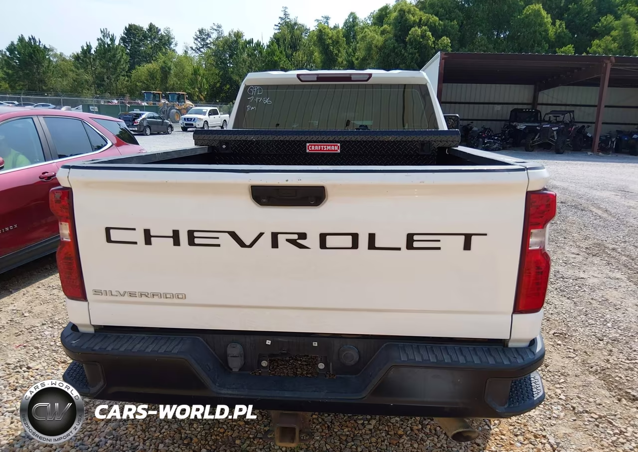 2020 Chevrolet Silverado 2500Hd 4Wd Standard Bed Wt VIN:1GC1YLE72LF323262 - 17