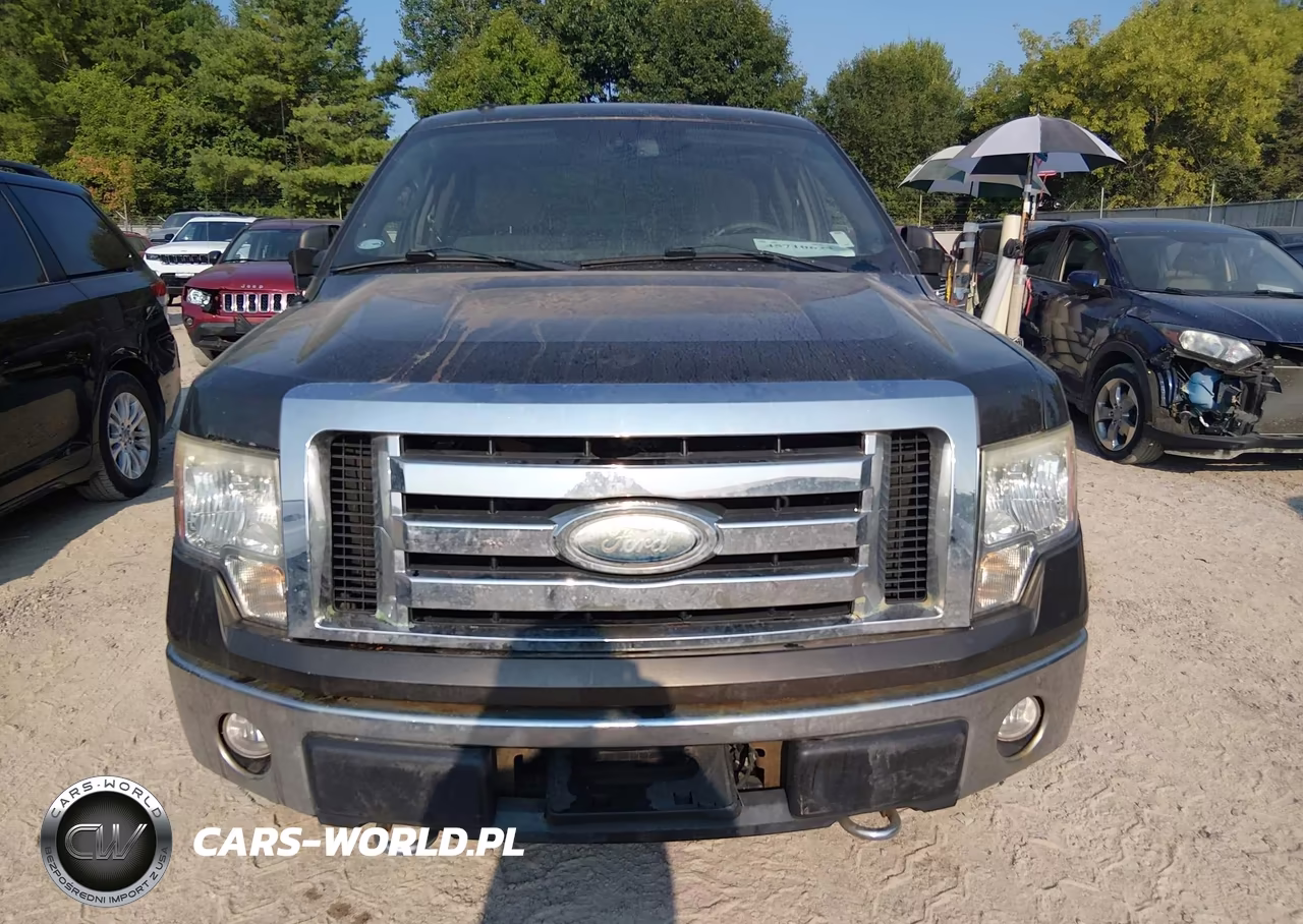 2009 Ford F-150 Xlt VIN:1FTRX14839KC40007 - 12