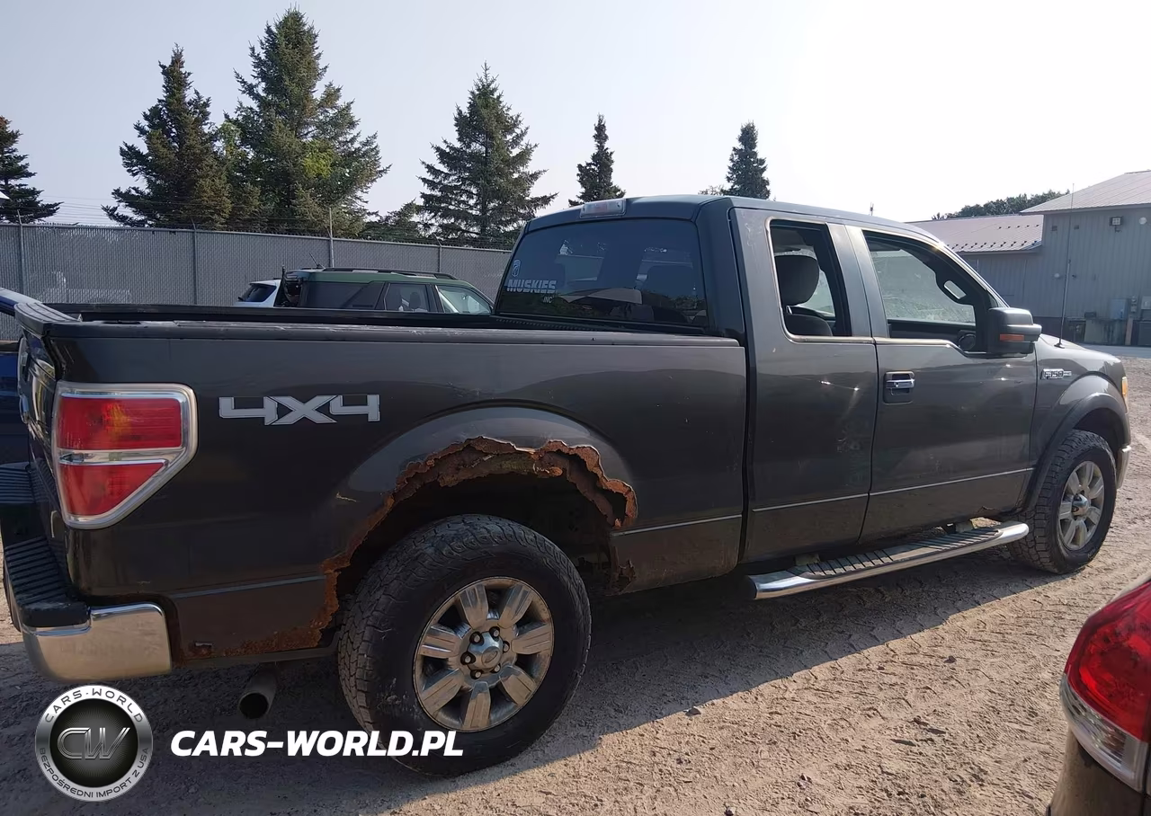 2009 Ford F-150 Xlt VIN:1FTRX14839KC40007 - 13