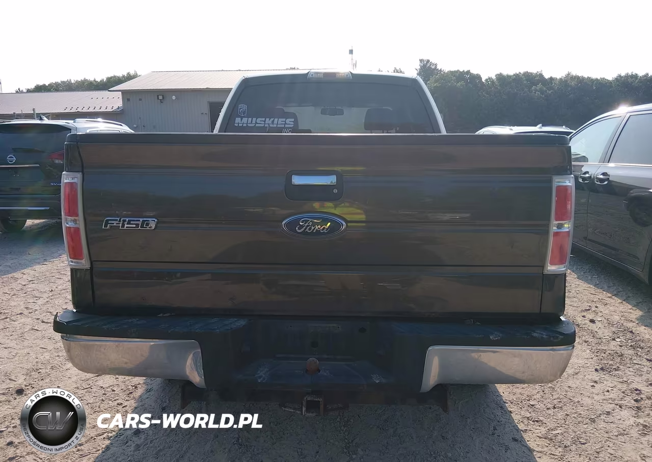 2009 Ford F-150 Xlt VIN:1FTRX14839KC40007 - 16