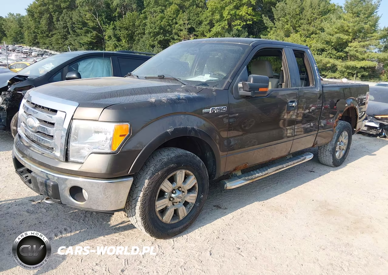 2009 Ford F-150 Xlt VIN:1FTRX14839KC40007 - 2