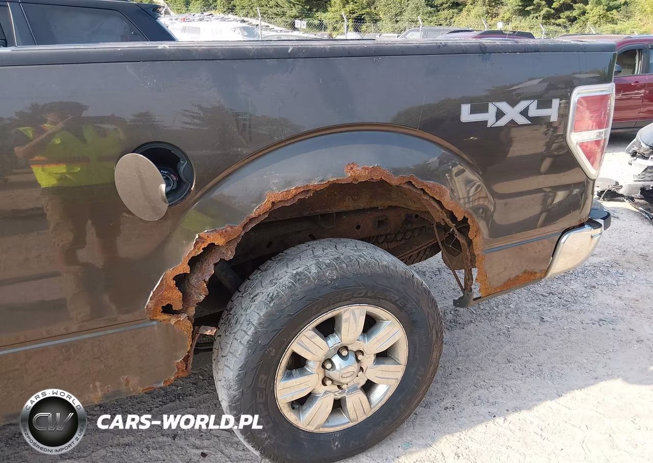 2009 Ford F-150 Xlt VIN:1FTRX14839KC40007 - 6