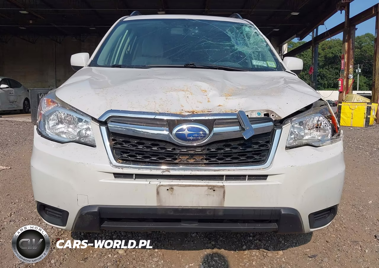 2016 Subaru Forester 2.5I Premium VIN:JF2SJADC1GH429984 - 12