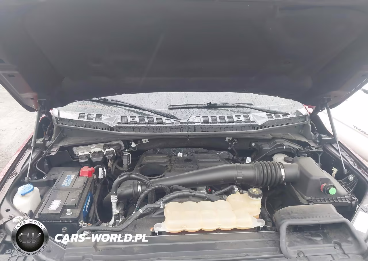 2018 Ford F-150 Platinum VIN:1FTFW1E16JFD49291 - 10