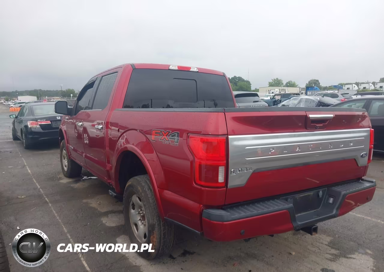 2018 Ford F-150 Platinum VIN:1FTFW1E16JFD49291 - 3