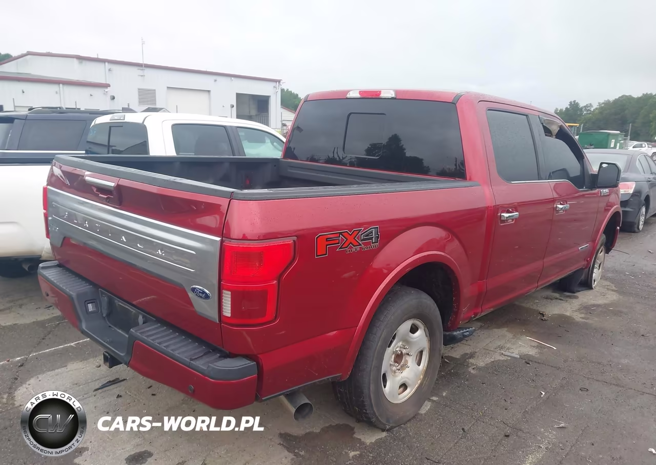 2018 Ford F-150 Platinum VIN:1FTFW1E16JFD49291 - 4