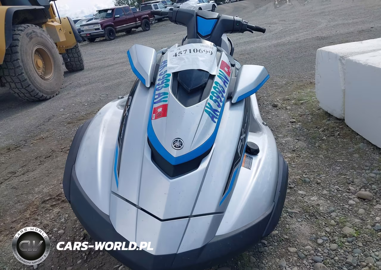 2020 Yama Yamaha Fb1800A-Vb VIN:00000YAMA1041C020 - 10