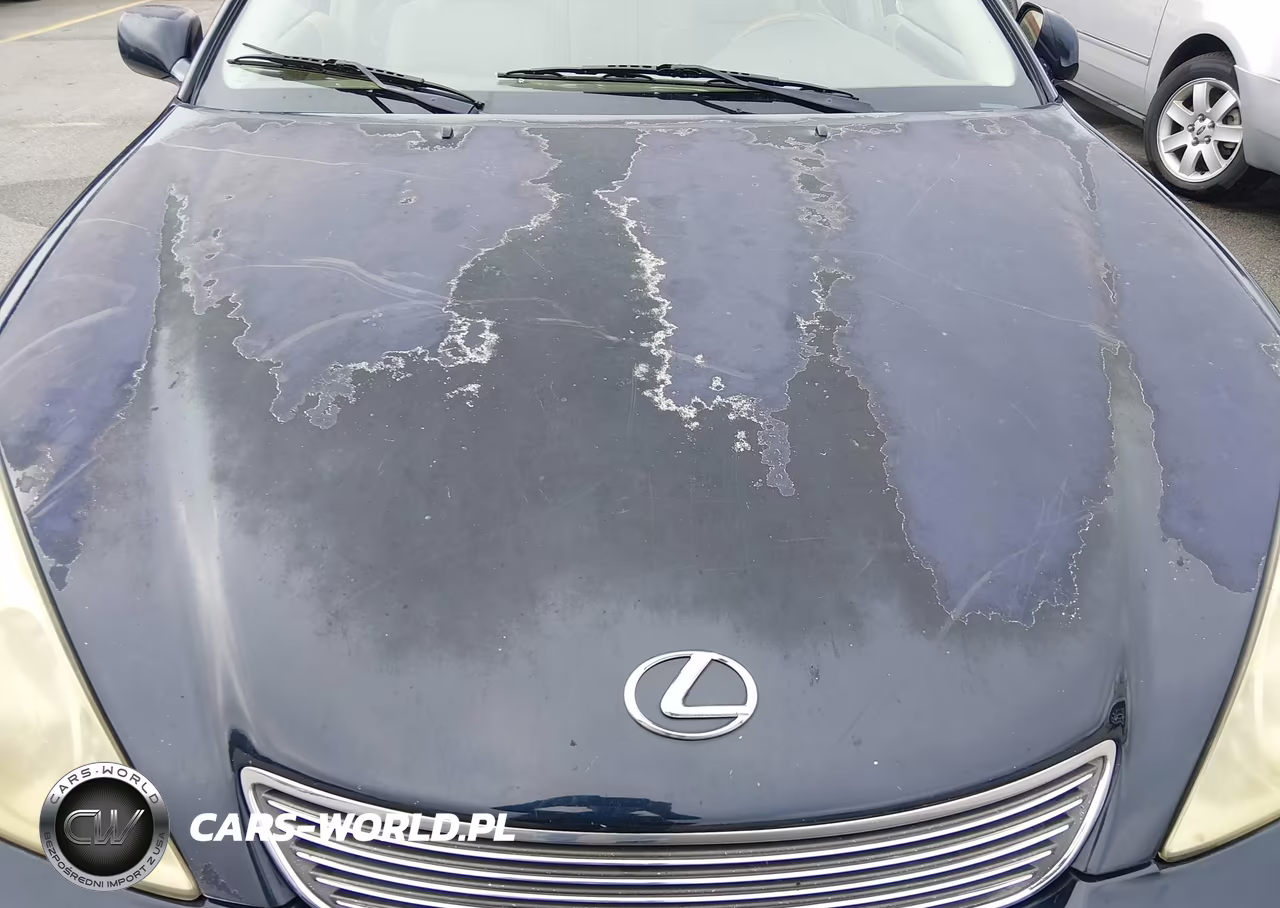 2005 Lexus Es 330 VIN:JTHBA30G255106902 - 16