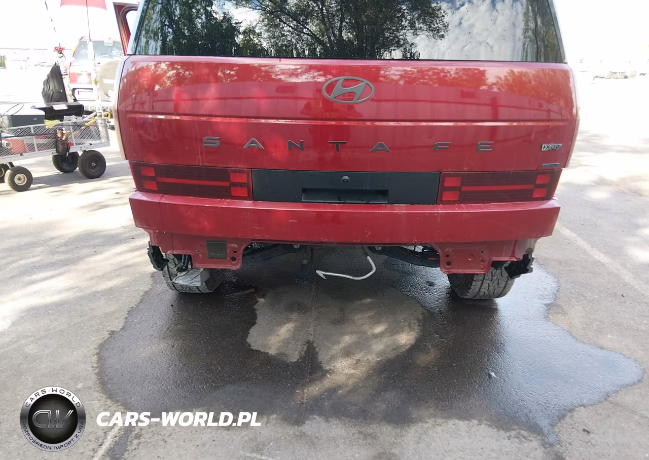 2024 Hyundai Santa Fe Xrt VIN:5NMP3DGL3RH036811 - 6