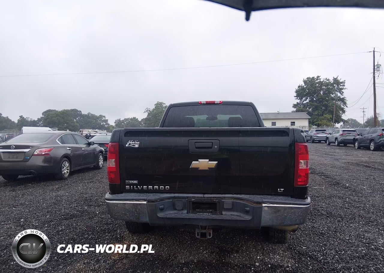 2009 Chevrolet Silverado 1500 Lt VIN:1GCEC29059Z217399 - 17