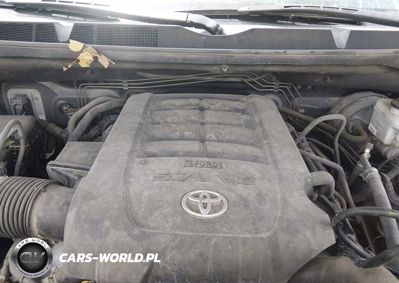 2015 Toyota Tundra 1794 5.7L V8 VIN:5TFAW5F15FX455426 - 10