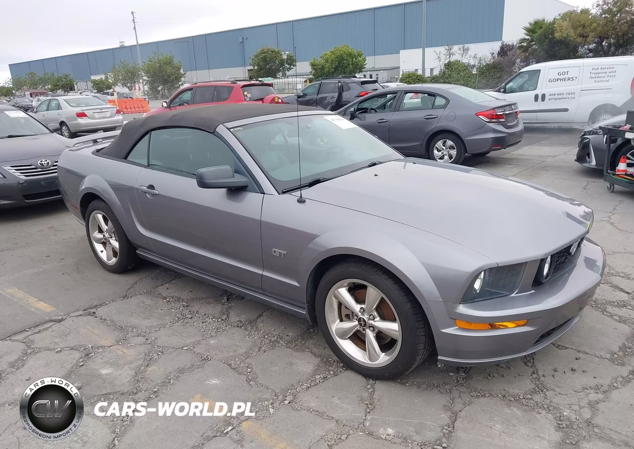 2006 Ford Mustang Gt VIN:1ZVHT85H365182499 - 1