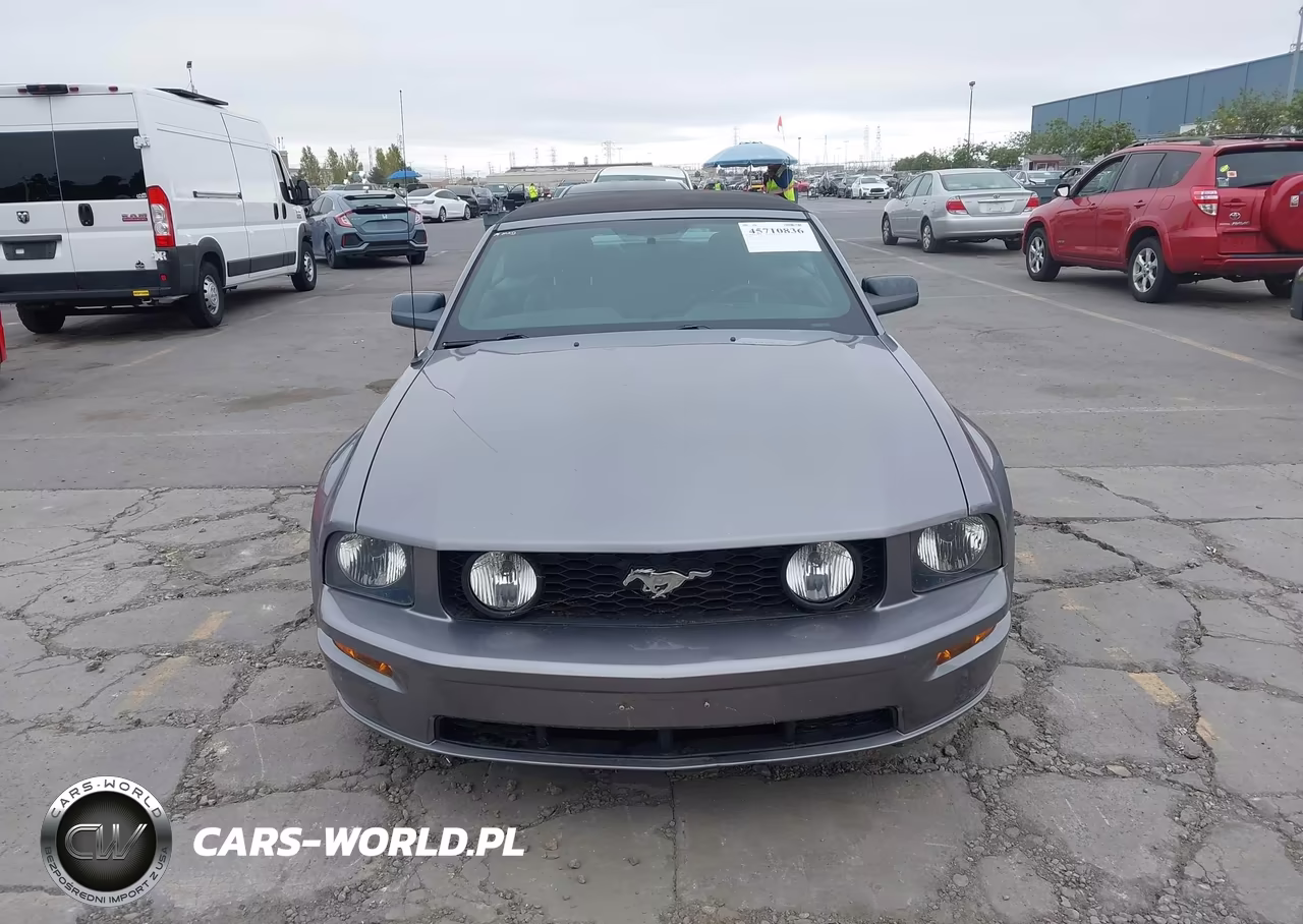 2006 Ford Mustang Gt VIN:1ZVHT85H365182499 - 12