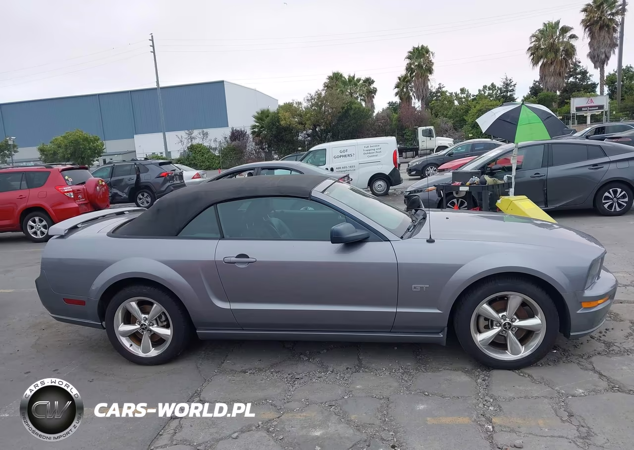 2006 Ford Mustang Gt VIN:1ZVHT85H365182499 - 13