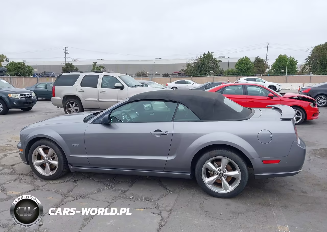 2006 Ford Mustang Gt VIN:1ZVHT85H365182499 - 14