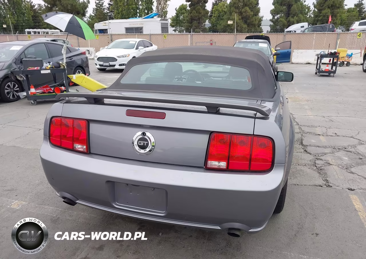 2006 Ford Mustang Gt VIN:1ZVHT85H365182499 - 16