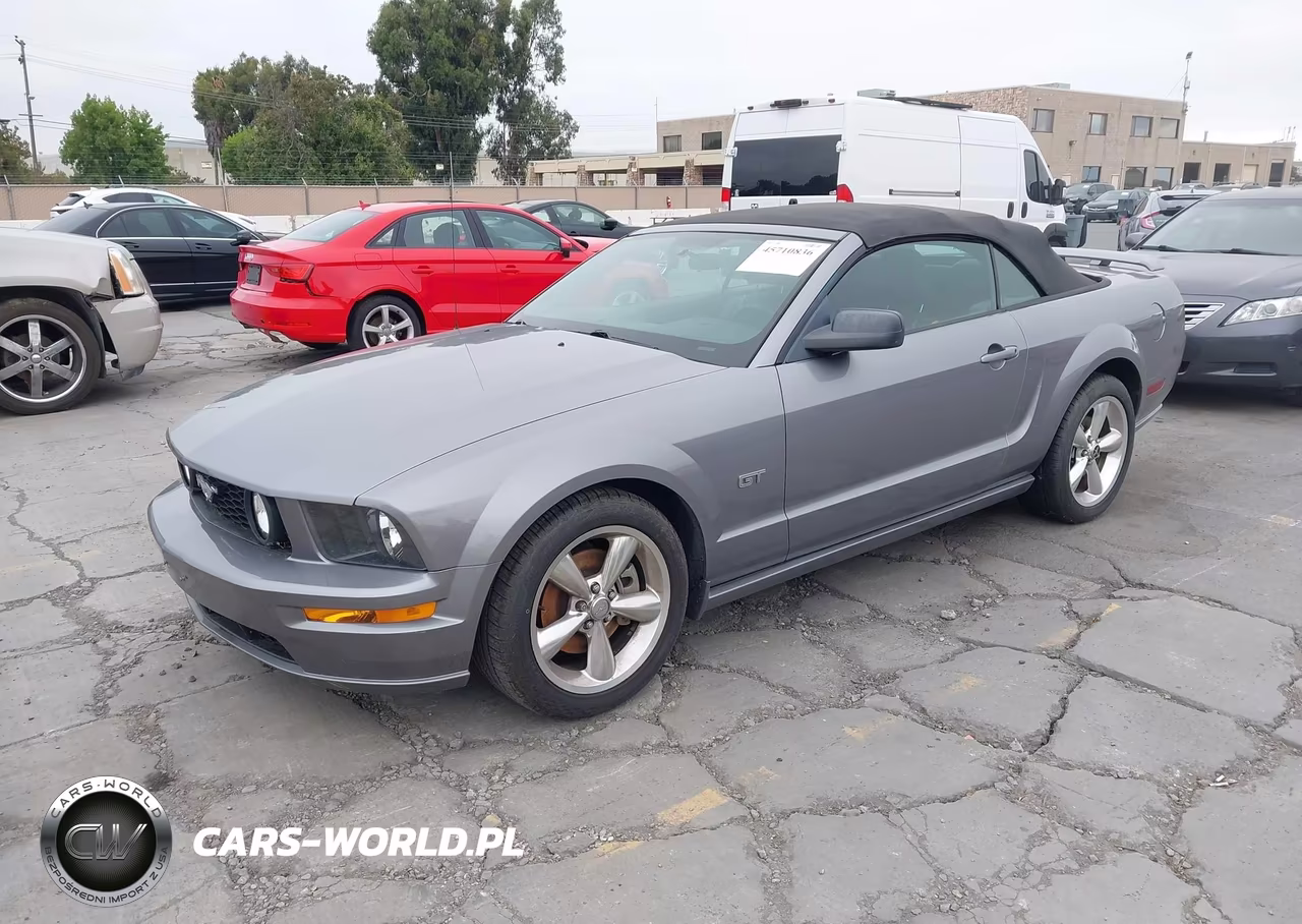 2006 Ford Mustang Gt VIN:1ZVHT85H365182499 - 2