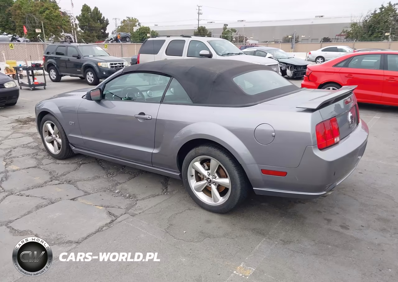 2006 Ford Mustang Gt VIN:1ZVHT85H365182499 - 3