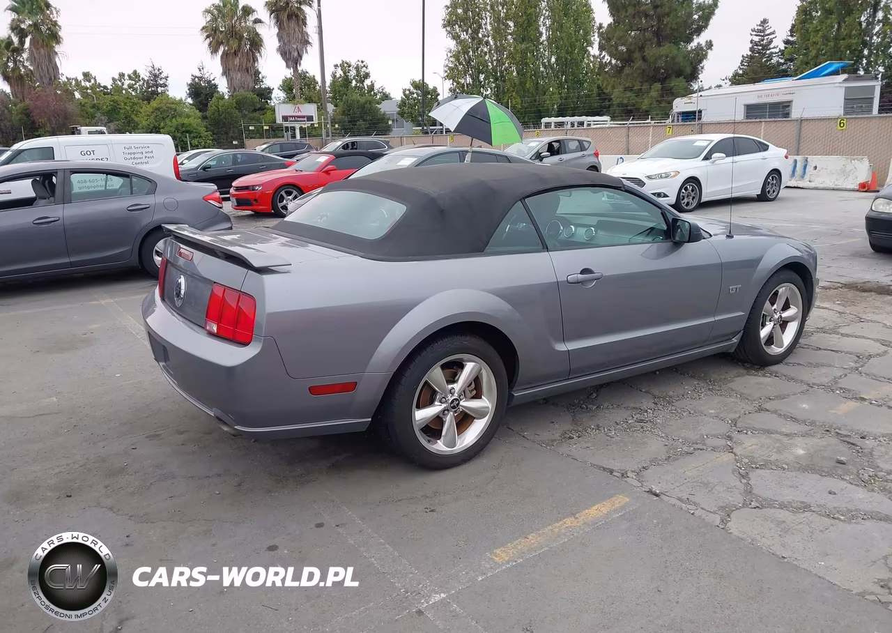 2006 Ford Mustang Gt VIN:1ZVHT85H365182499 - 4