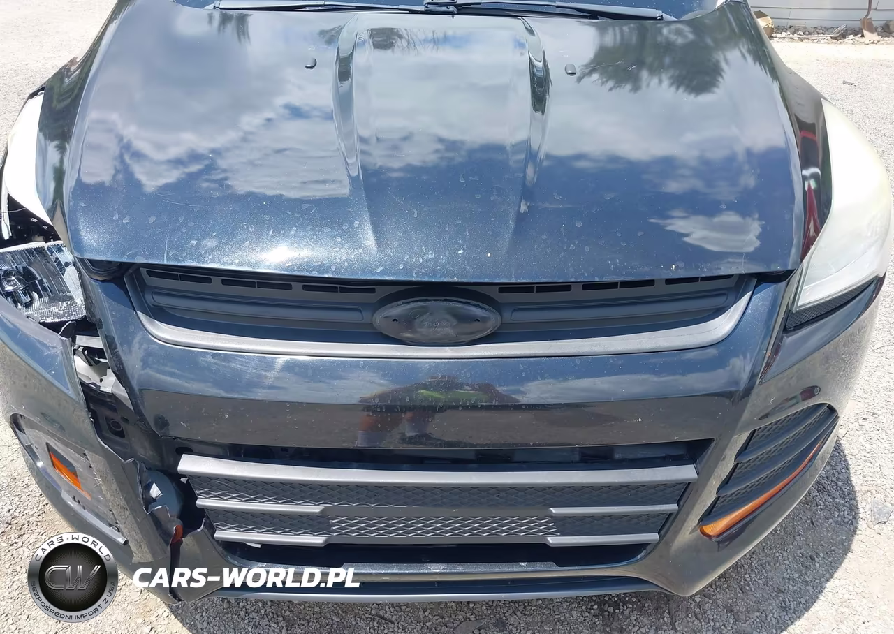 2013 Ford Escape S VIN:1FMCU0F72DUC18943 - 17