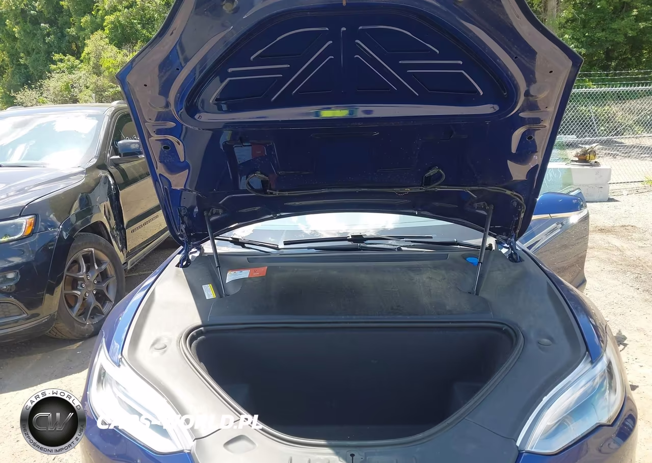 2017 Tesla Model S 100D-60D-75D-90D-P100D VIN:5YJSA1E25HF185701 - 10