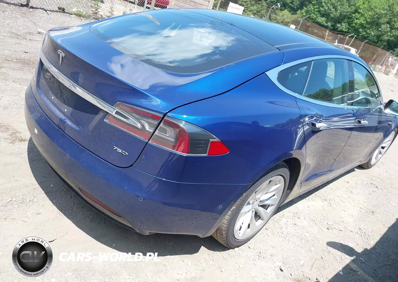 2017 Tesla Model S 100D-60D-75D-90D-P100D VIN:5YJSA1E25HF185701 - 4